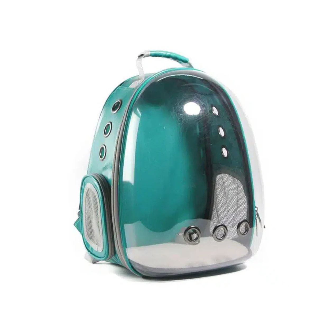 Teal pet carrier with clear front on a white background