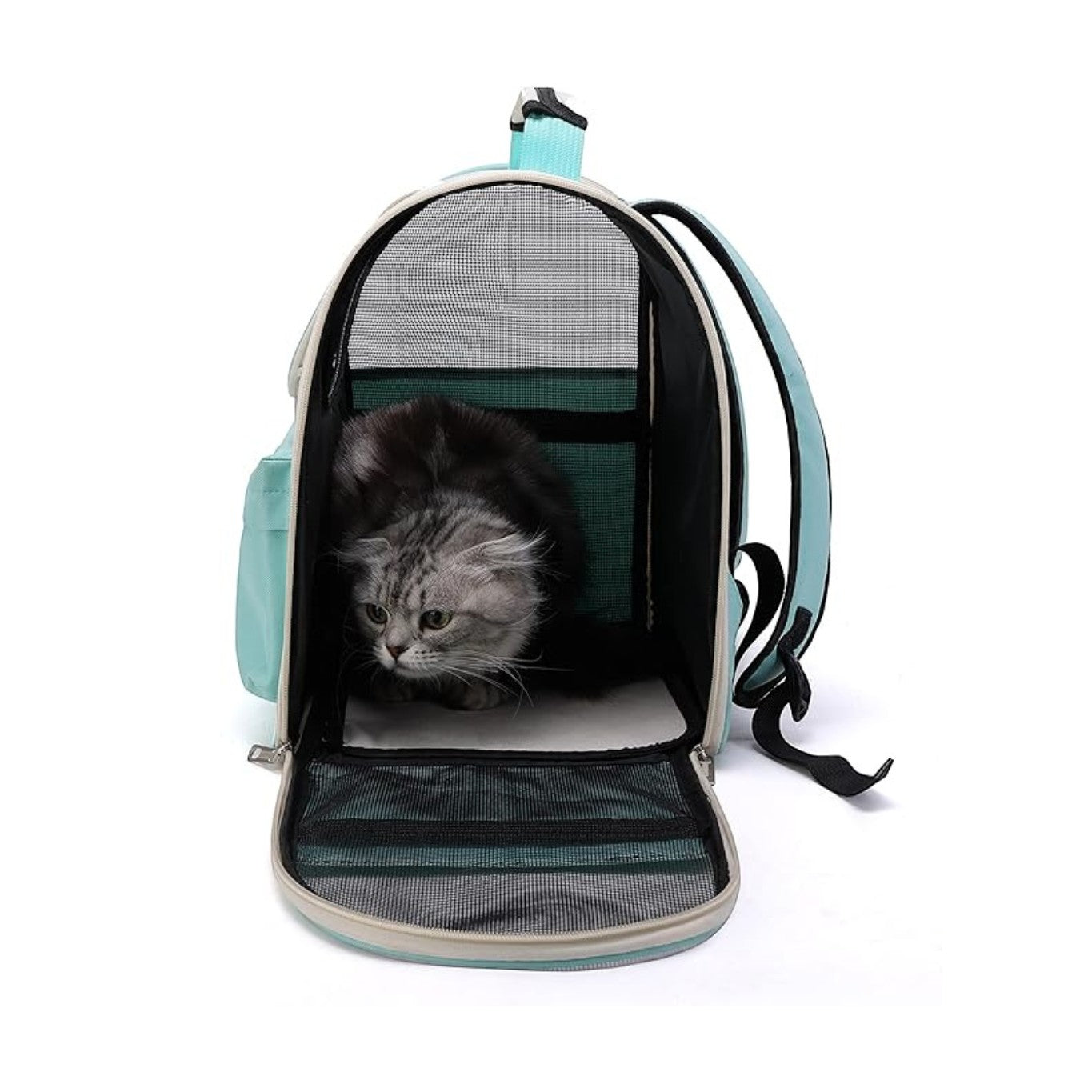 Pet carrier with a cat inside on a white background