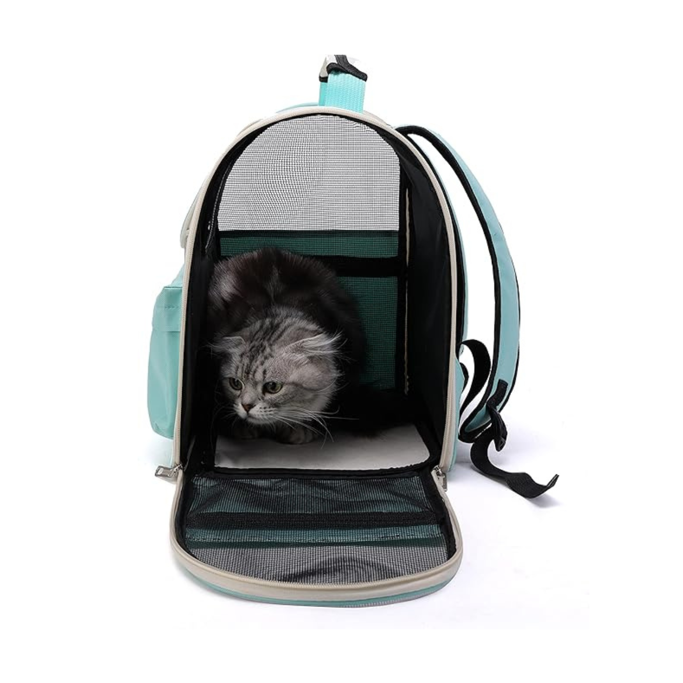 Pet carrier with a cat inside on a white background