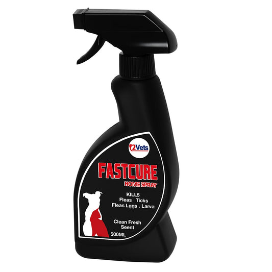 Black spray bottle labeled 'Fastcure Home Spray' on a white background