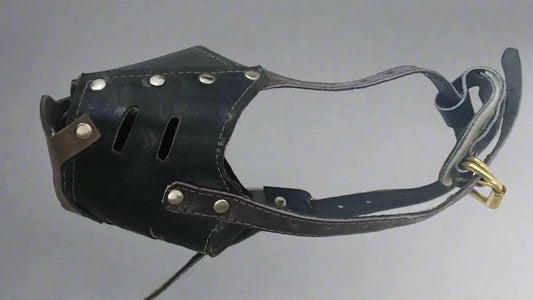 Medium sized leather dog muzzle