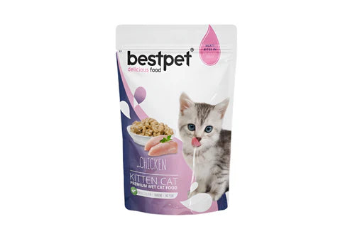 bestpet kittens 