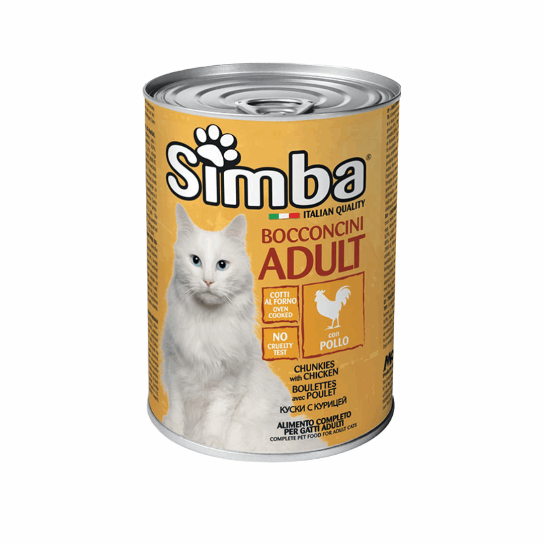 Simba cat   سيمبا قطط