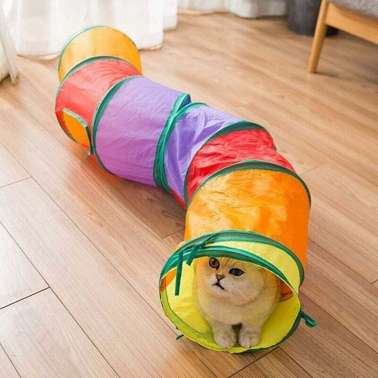 Cat tunnel Zigzag fun toy