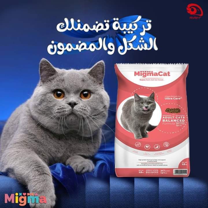 ميجما دراي فود رخيص