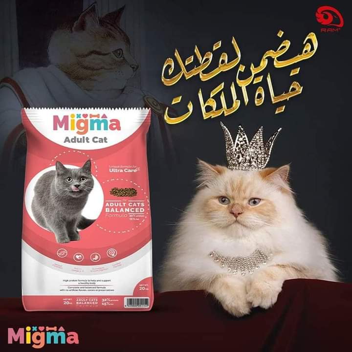 ميجما migma