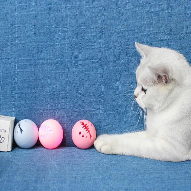 Kickstarter cat ball best sale