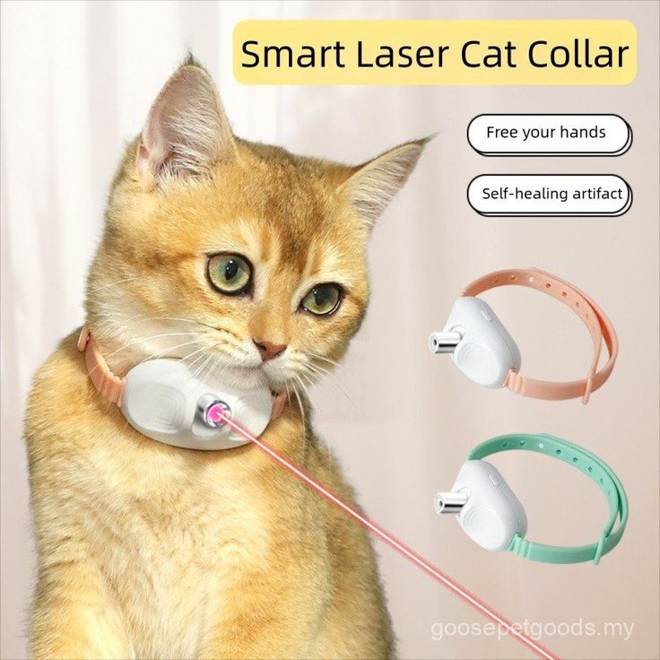 Laser teasing cat toy