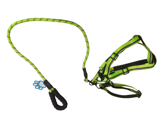 Dog leash harness