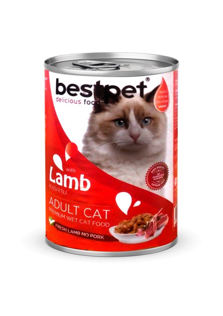 Bestpet cat wet food with lamb 400 g - Petfriend stores بتفريند ستورز