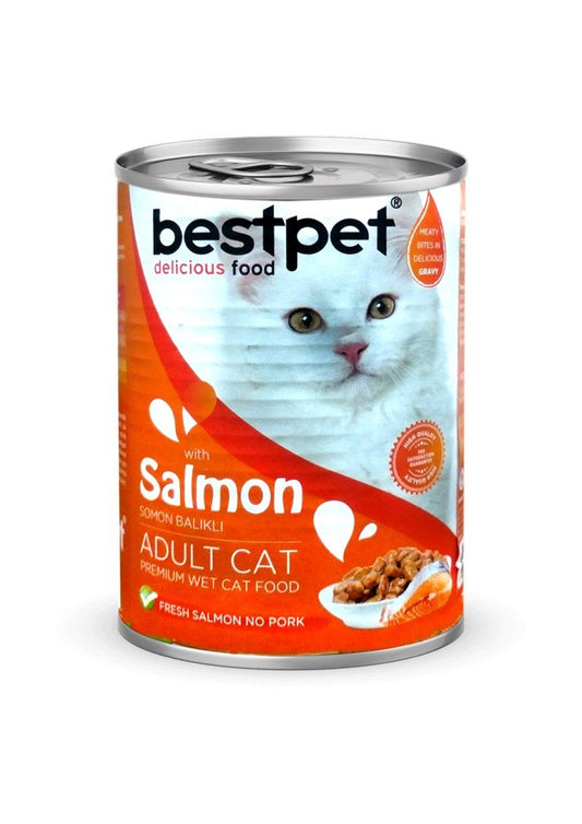Bestpet cat wet food with salmon 400 g - Petfriend stores بتفريند ستورز