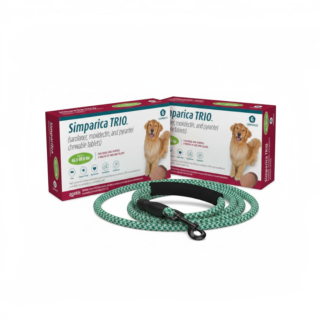 Buy 2 Simparica + Free Leash Bundle