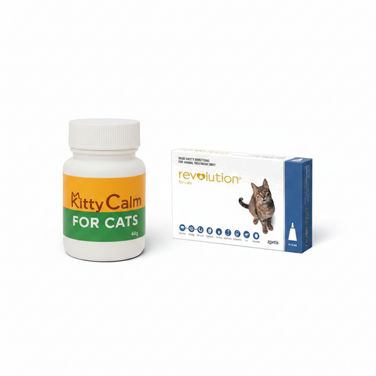🐱 Cat Wellness Bundle