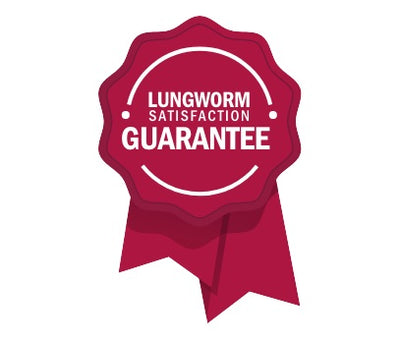 Lungworms treatment