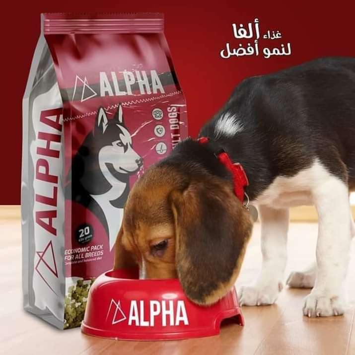 ALPHA adult dog dry food 20 kg - Petfriend stores بتفريند ستورز