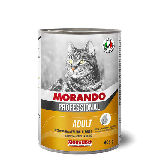 Morando cats موراندو