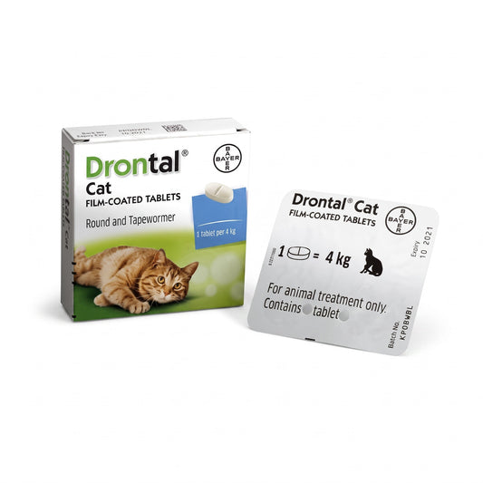 PetFriend Drontal cat deworming tablets in box and blister pack packaging for roundworm and tapeworm treatment.