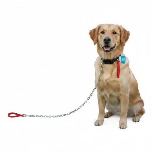 PetFriend 124 cm dog leash with a 5 mm thick metal chain and a comfortable red fabric handle on a golden retriever.