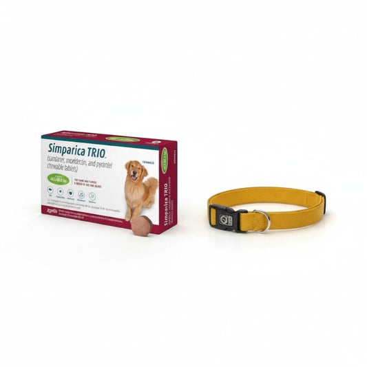 PetFriend Simparica TRIO flea and tick treatment box for large dogs with a durable yellow medium dog collar