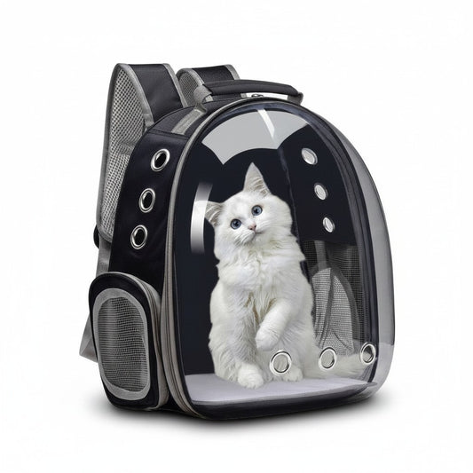 PetFriend transparent black backpack carrier with a white cat inside, featuring ventilation holes and mesh sides.