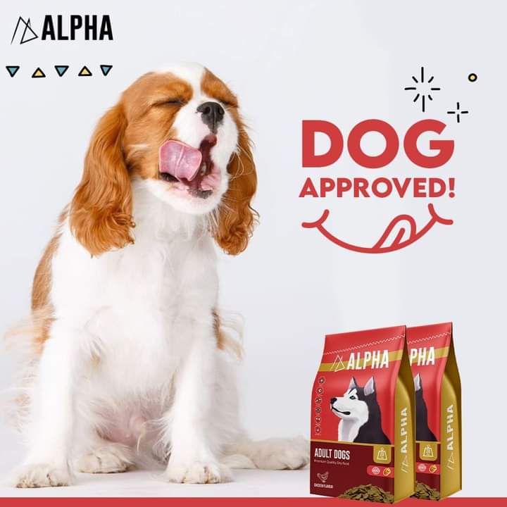 ALPHA adult dog dry food 20 kg - Petfriend stores بتفريند ستورز
