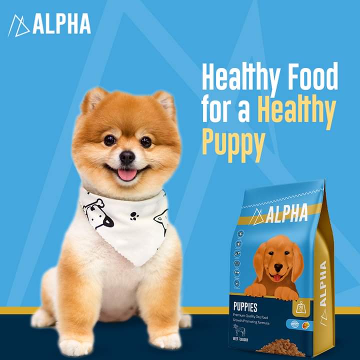 ALPHA puppies dry food 20 kg - Petfriend stores بتفريند ستورز
