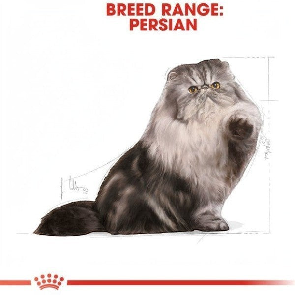 Royal canin persian