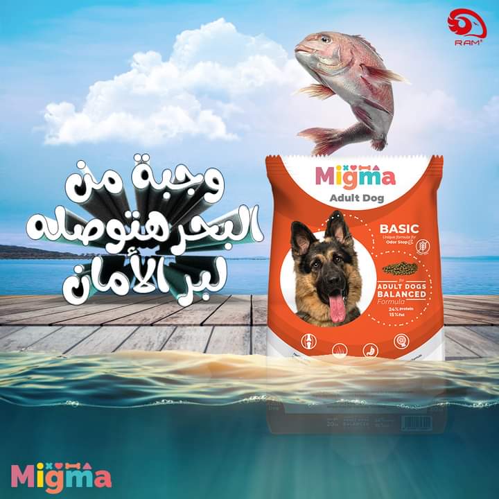 ميجما كلاب دراي فود مصري - migma