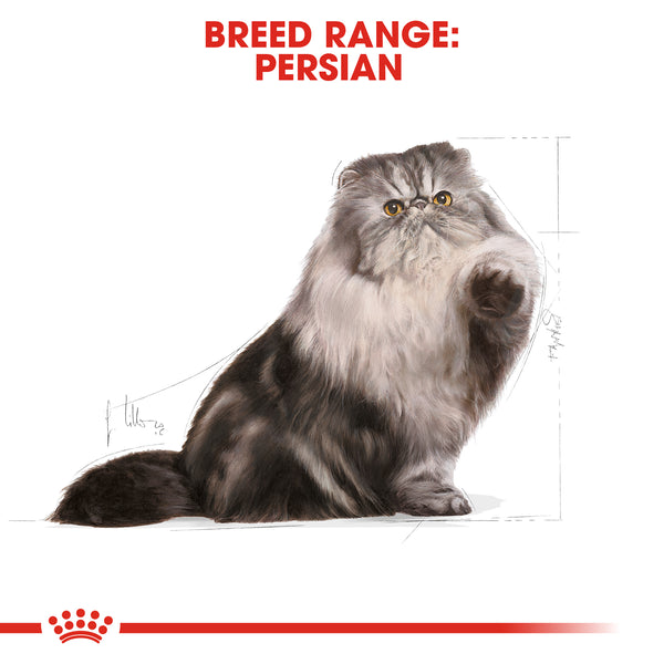 Royal canin persian