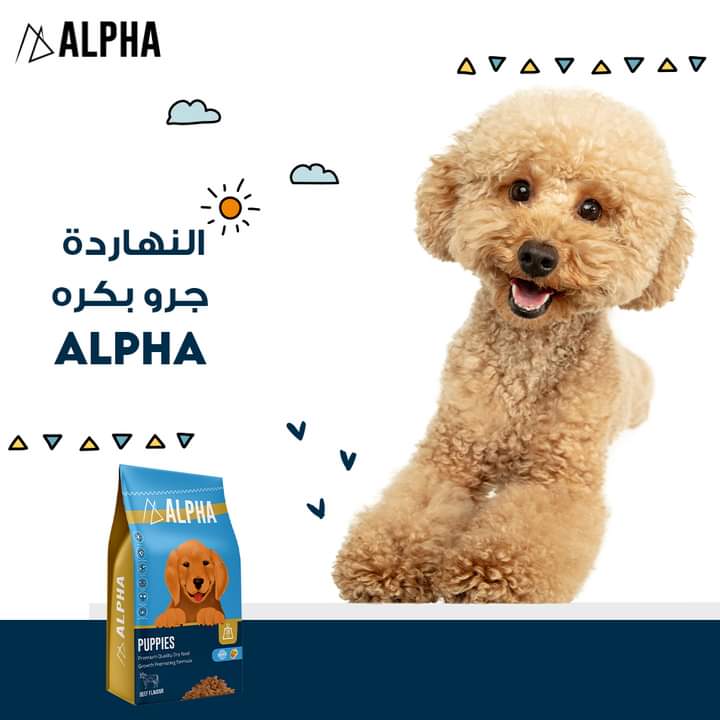 ALPHA puppies dry food 20 kg - Petfriend stores بتفريند ستورز