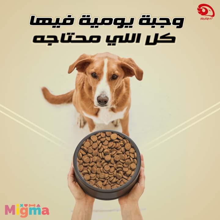 ميجما كلاب دراي فود مصري - migma