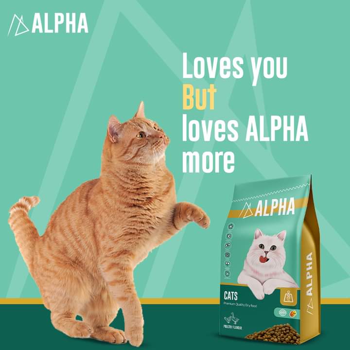 Alpha cat dry food 1 kg - Petfriend stores بتفريند ستورز
