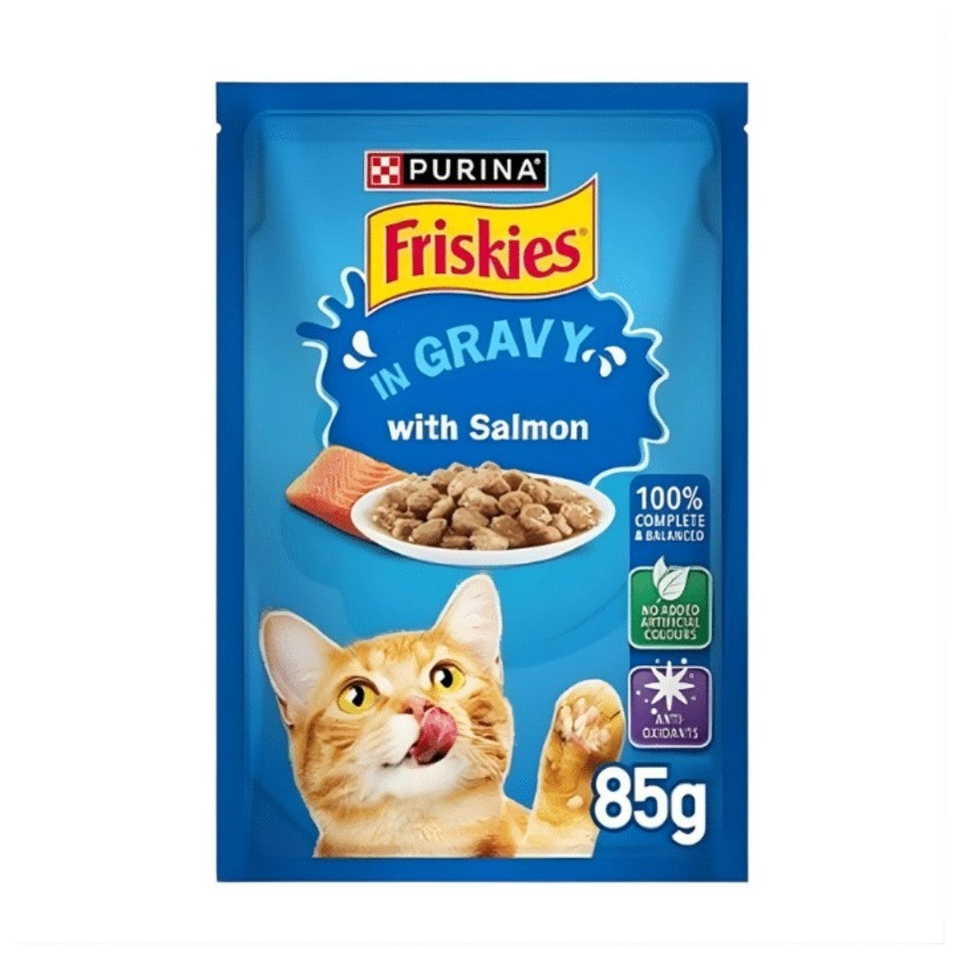 PetFriend Friskies wet cat food pouch with salmon in gravy, featuring a ginger cat and salmon fillet illustration.