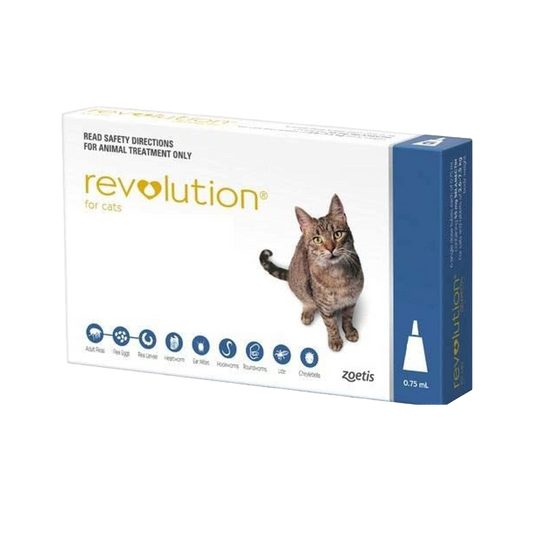ريفوليوشن للقطط ، revolution cats