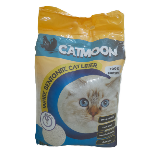 كاتمون رمل قطط تركي - catmoon