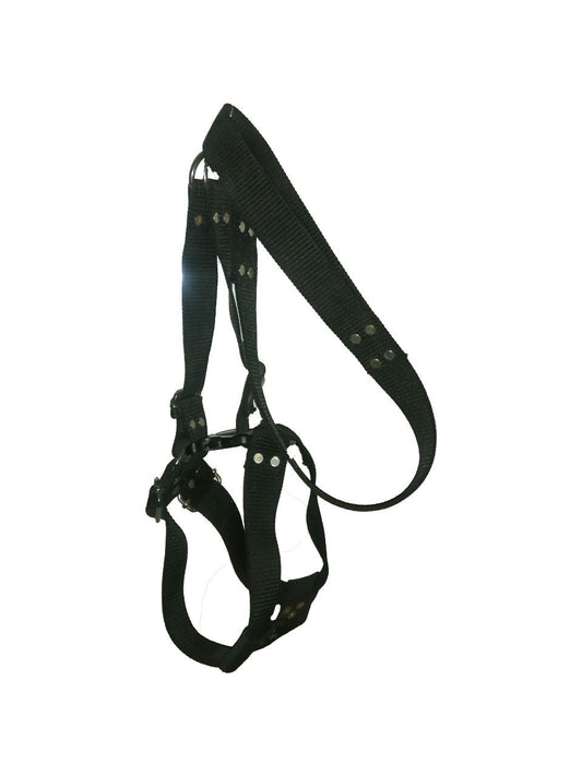 Large dogs harness - صديري كلاب كبيرة - Petfriend stores online pet shop Alex